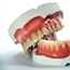 Prosthodontics